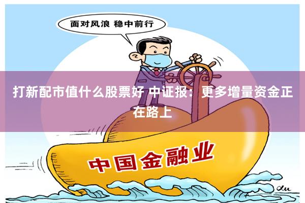 打新配市值什么股票好 中证报：更多增量资金正在路上