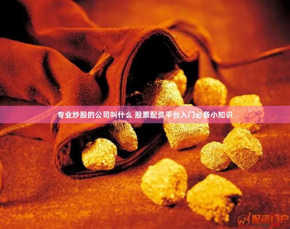 专业炒股的公司叫什么 股票配资平台入门必备小知识