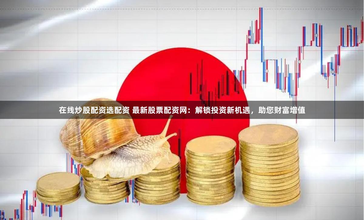 在线炒股配资选配资 最新股票配资网：解锁投资新机遇，助您财富增值