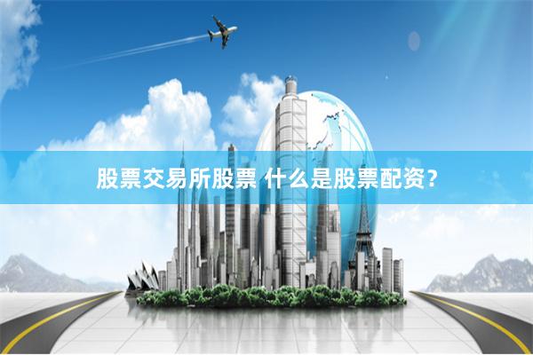 股票交易所股票 什么是股票配资？